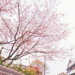 [댓글부탁해] 근데 애들아 연예인직업 부러워?