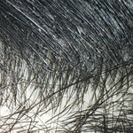 미용실갔는데 머리망했어요 <b>삭발</b>이답인가요..