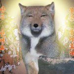 ㅅㅂ반배정망함 합반인데 여자가 <b>나포</b>함 세명임