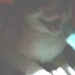 나의 동거남 '<b>도칠</b>이와의 설날'