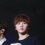 [세븐틴] ㅅㄷ)내친구중에<b>캐럿</b>있는데..
