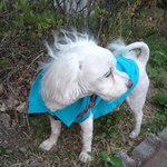 [코코토끼] 코코 와 토끼 _ 딩크오빠 편