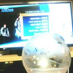 [방탄소년단] 불끄고 <b>아미밤</b>을 흔들고 싶지만..