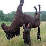 내말 좀 <b>드러</b>줄래?