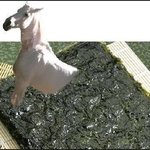 <b>말</b>하는<b>김</b>에