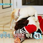 [인피니트] *여러분 쫑교 믿으세요*