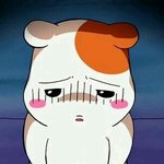 너네도 이런집 있니..?