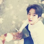 [EXO] 백현닮은꼴