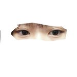 애들이찬열눈닮았다는데