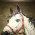 [방탄소년단] 이 말 어디 <b>승마</b>장 가면 있을라나?