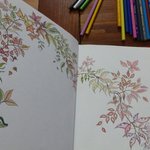 [EXO] <b>컬러</b>링북은..