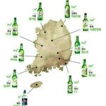 [유머판] <b>지역별</b> 메인소주