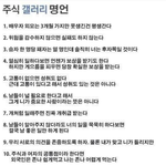 [유머판] 주식 갤러리 <b>명언</b>