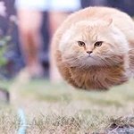 [10대의성] 남자친구랑<b>진도</b>ㅜㅜ