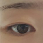 속<b>쌍</b> <b>겉쌍</b> 차이