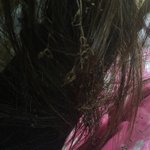 [EXO] 나 <b>가스불</b> 키다가 머리 탐