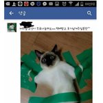 [유머판] <b>SNS</b>의 순기능