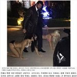 [유머판] 호주 억만장자의 <b>문란</b>한 사생활