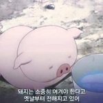 미친 나 <b>사육</b> 당하는 것 같아 ㅋㅋ