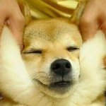 도시사는애들은 다 예쁘더라