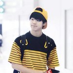 [방탄소년단] 꿀벌꿀꿀