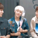 [세븐틴] 권수녕은 확실히 우리가 뭘 원하는지 앎