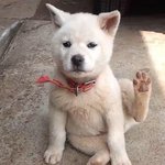 [댓글부탁해] 너넨 보통 옷 어디서사???