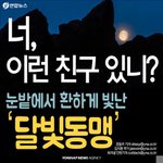 [감동] 이런 친구 있어요?