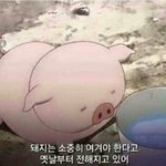 [댓글부탁해] <b>번장</b>에서 이거 내가 잘못한거?