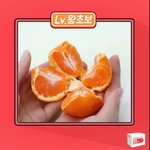 [유머판] 귤 까는 레벨