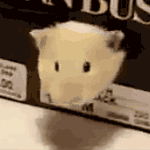 야 <b>내와</b>따