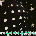 [세븐틴] 길가다가 세븐틴보면 싸<b>인해</b>달라고 할꺼임?