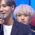 [세븐틴] 하권<b>순영</b>..(비속어)