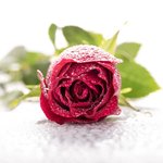 [BAP] 오 내일이 <b>대망</b>의 콘서트날이야