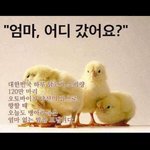 [세븐틴] 오늘 에<b>스쿱스</b>