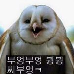 [댓글부탁해] 다리평가좀사진있음