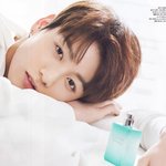 [방탄소년단] 쎄13563씨 <b>서점</b>에 나왔어??
