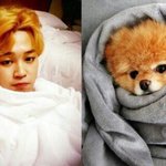 [방탄소년단] 도레미친