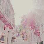 [드루와] 님들 올해 학교에서 뭔컨셉으로 밀어붙일꺼임??