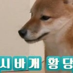 [아이콘] 아 진짜 화난다 정말 짜증나