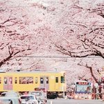 [드루와] 내 친구 <b>허언</b>증 있음..