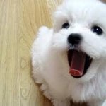 들어오지마(귀사) <b>소장</b>용