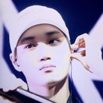 [카이] <b>시카고</b>콘 귀여운 곰도리종인이왔다