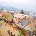 [세친구의 세계여행 - India(Darjeeling)] - 인도속의...