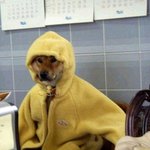 [EXO] 우리 솔직히 엑퀴맞음 <b>인정</b>해ㅅㅂ