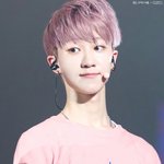 [세븐틴] 요..<b>요정</b>이 나타났다..!!