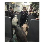 [유머판] 대륙의 열차 <b>객실</b>