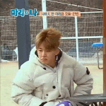 [아이콘] 지금 짹 상황 어때?