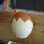 [세븐틴] 배가고팠던캐럿은계란을먹다가