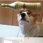 (개끈기) 받아주니 끝도 없네